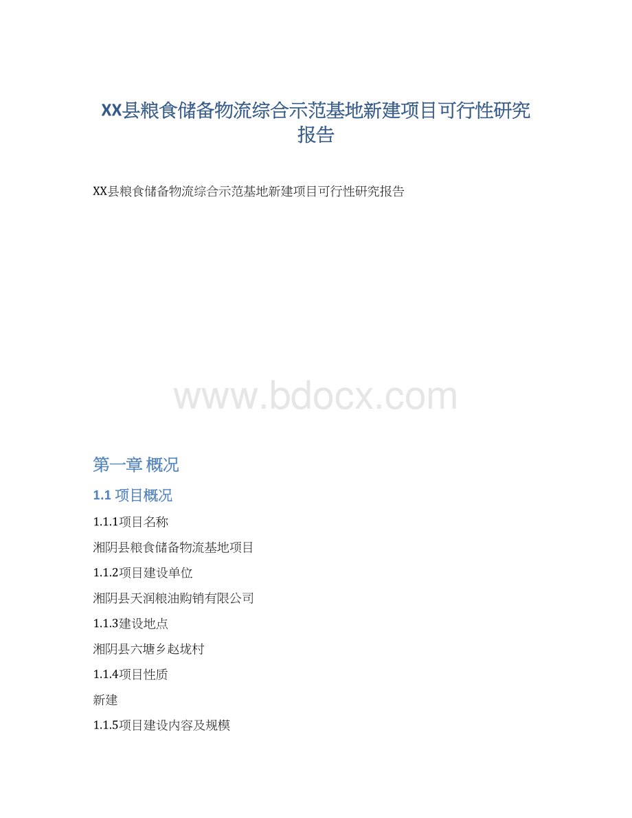XX县粮食储备物流综合示范基地新建项目可行性研究报告.docx_第1页