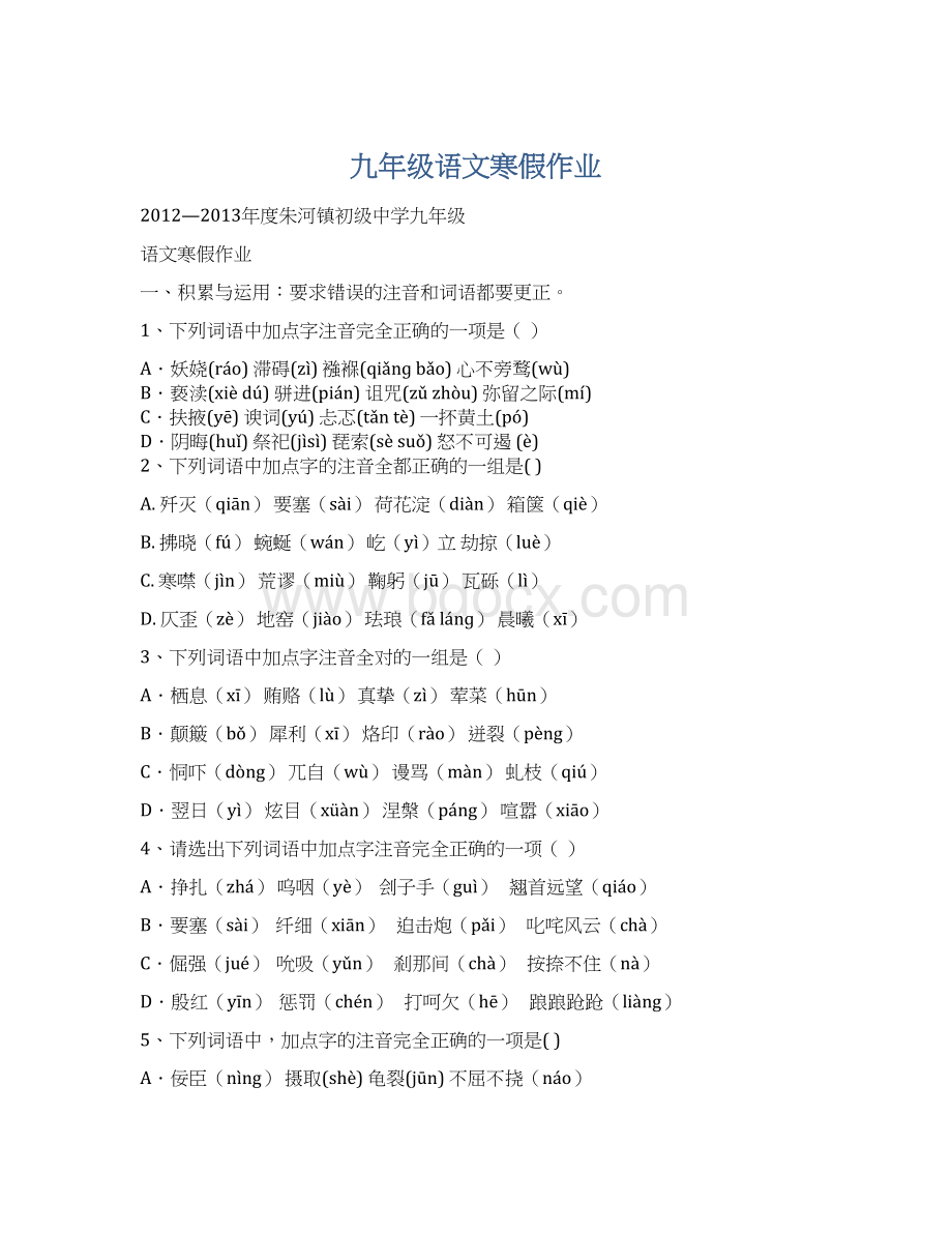 九年级语文寒假作业Word文档格式.docx