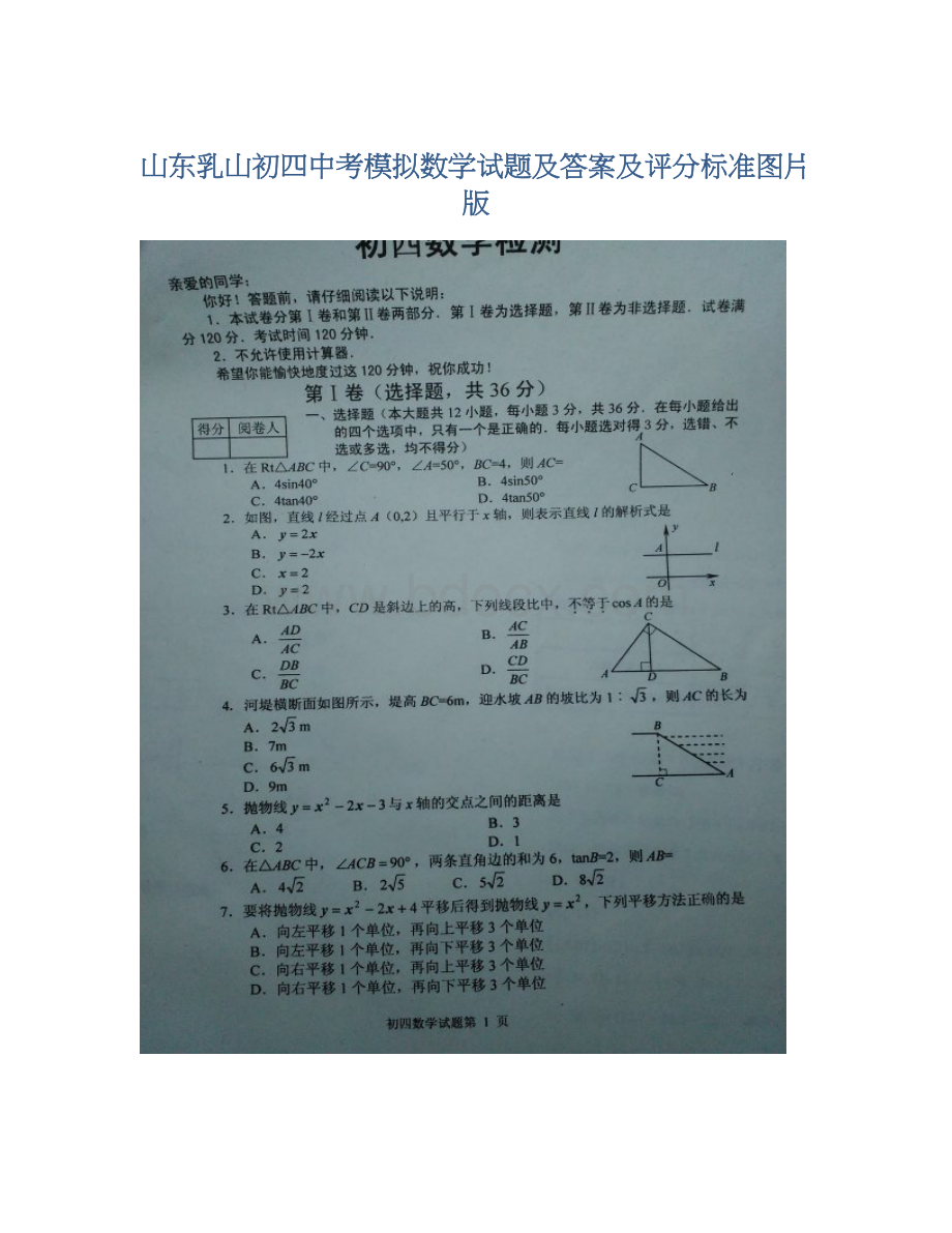 山东乳山初四中考模拟数学试题及答案及评分标准图片版文档格式.docx