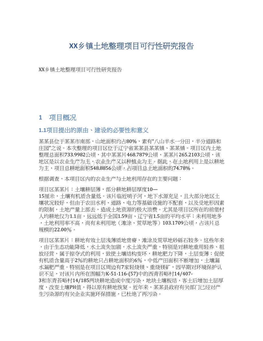 XX乡镇土地整理项目可行性研究报告.docx