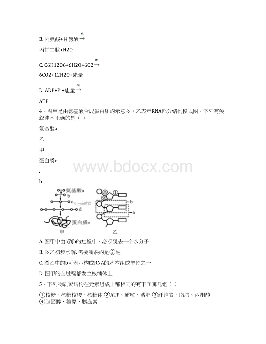 学年云南省中央民大附中芒市国际学校高二下学期期中考试生物试题 Word版.docx_第2页