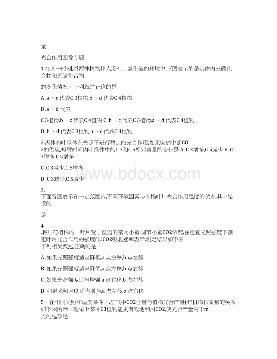 光合作用图像专题精.docx_第2页