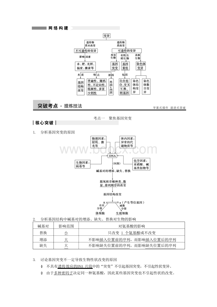 高三生物一轮复习 7.21基因突变和基因重组教学案 新人教版Word文档下载推荐.docx_第3页