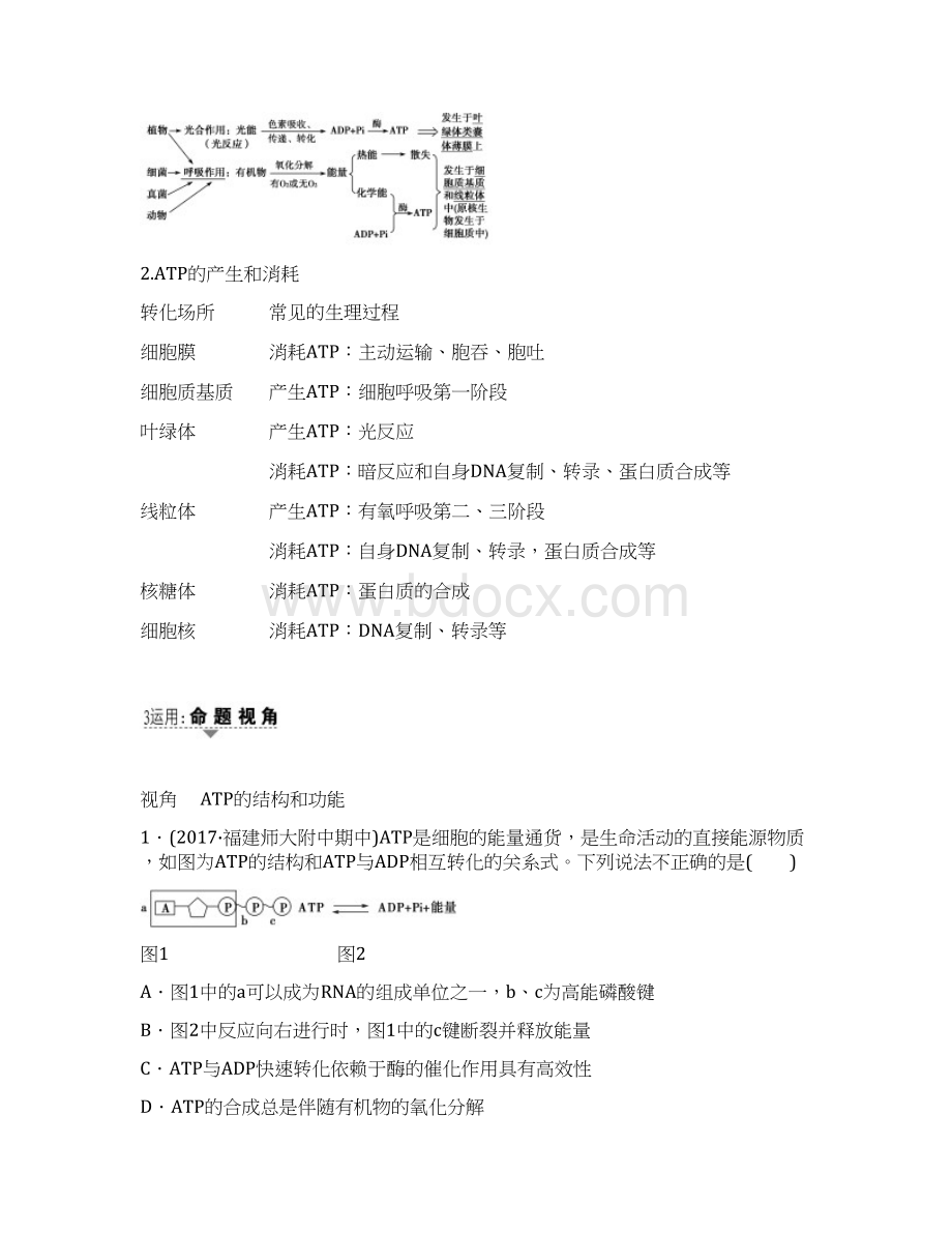 届 一轮复习苏教版 ATP和酶 教案Word文档下载推荐.docx_第3页