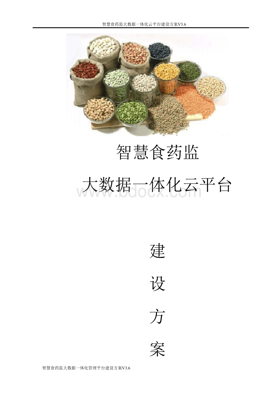 智慧食药监整体解决方案文档格式.docx