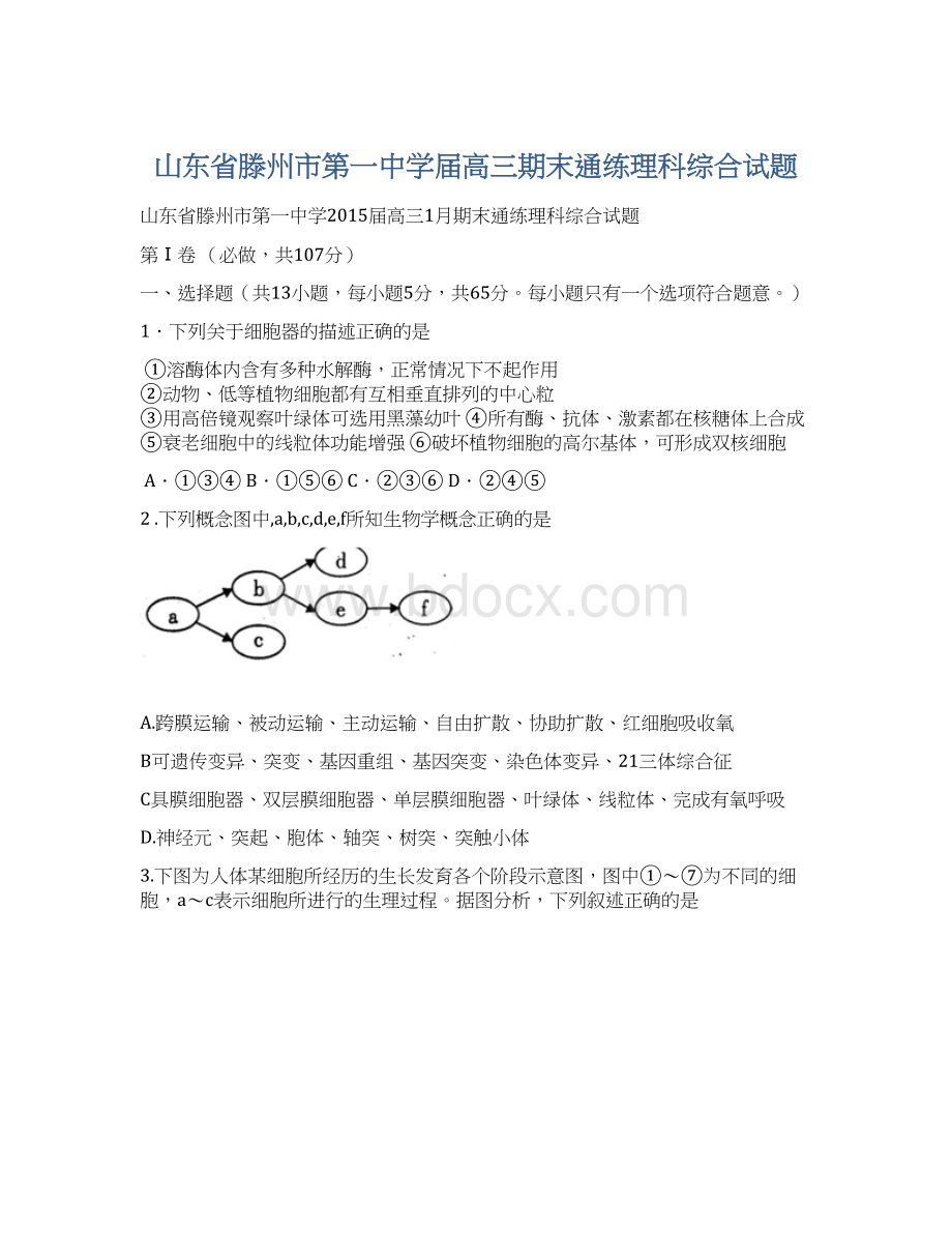 山东省滕州市第一中学届高三期末通练理科综合试题.docx