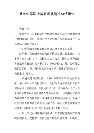 某市中等职业教育发展情况总结报告.docx