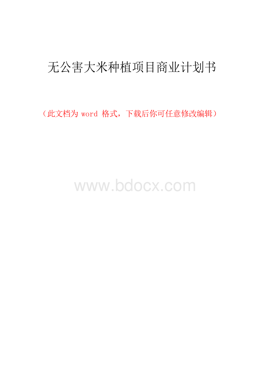 无公害大米种植项目商业计划书Word格式.docx