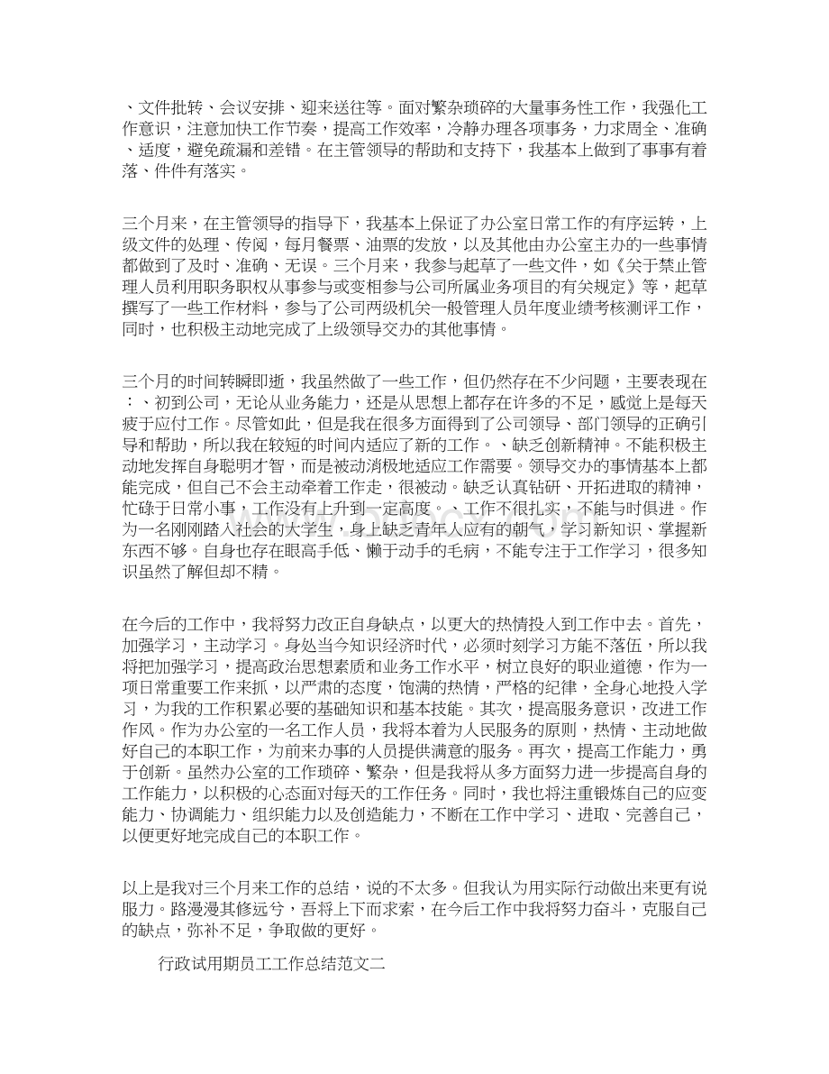 行政试用期员工工作总结Word文档下载推荐.docx_第2页