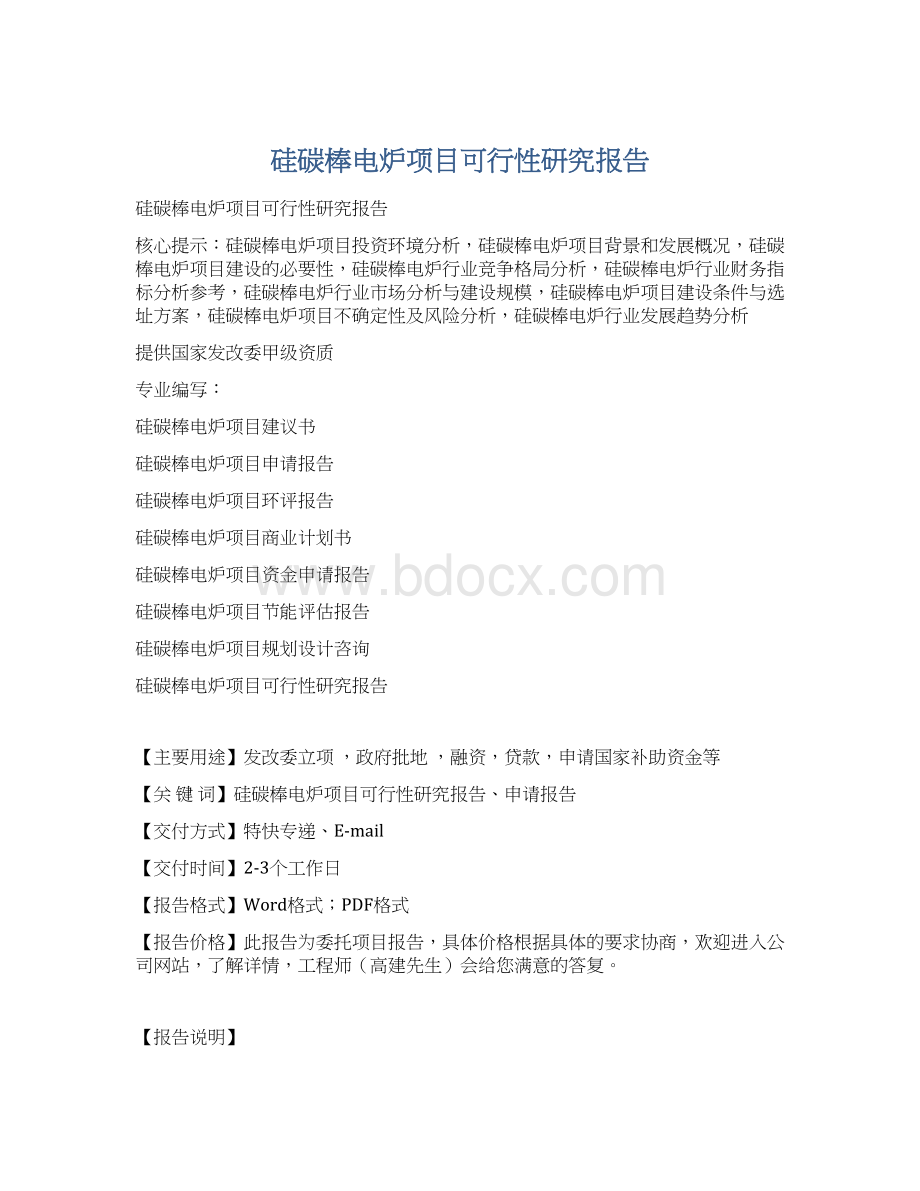 硅碳棒电炉项目可行性研究报告Word格式.docx_第1页