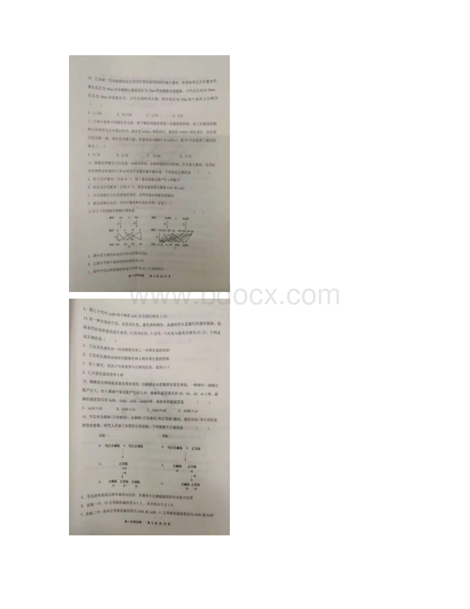 学年河南省八市重点高中联盟高一下学期领军考试生物试题扫描版后附详解.docx_第3页