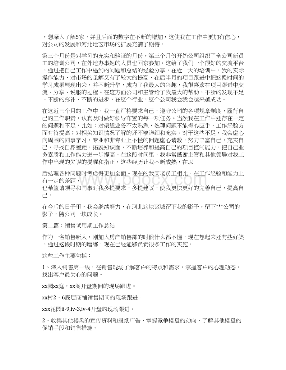 软件销售试用期工作总结多篇范文Word格式.docx_第2页