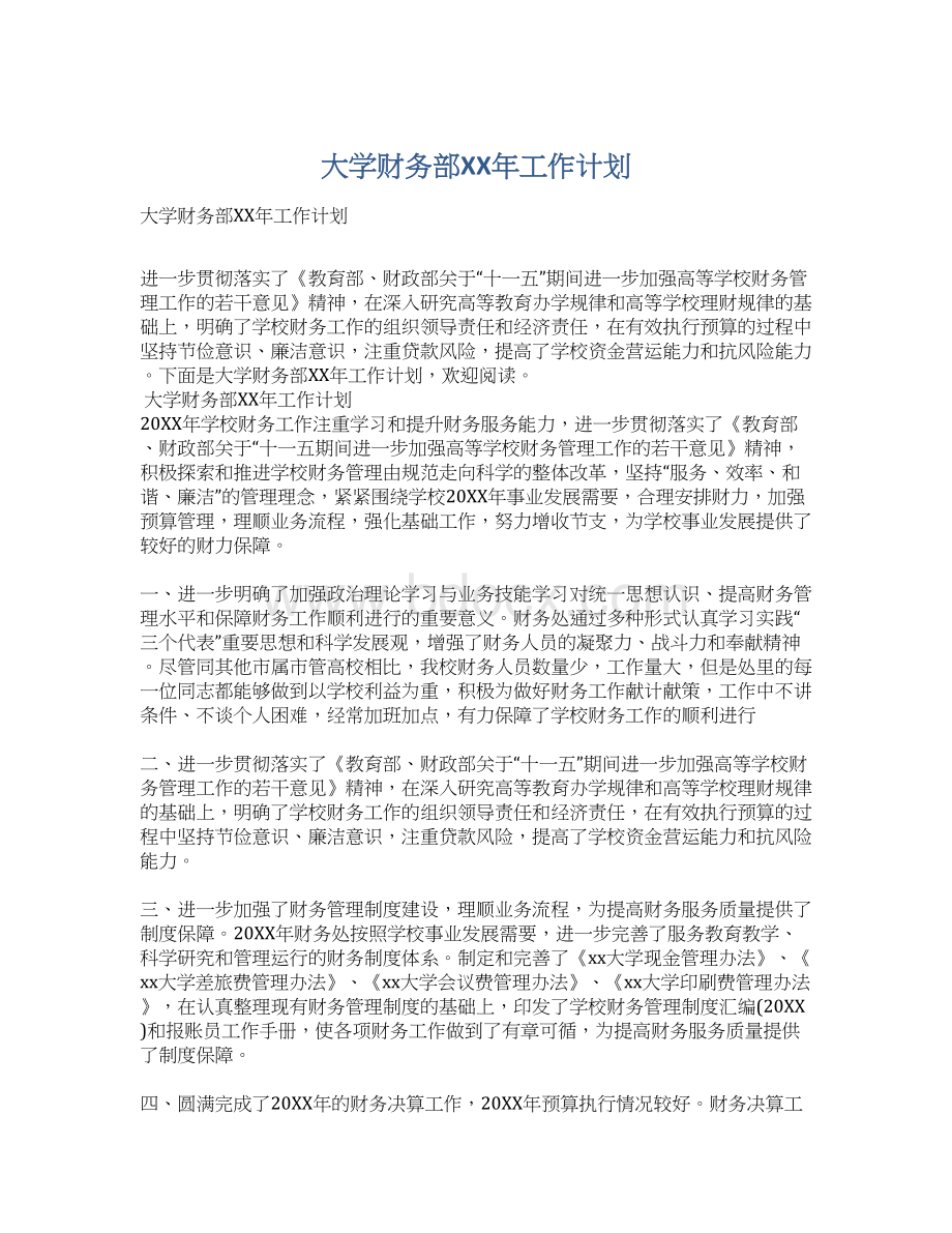 大学财务部XX年工作计划.docx