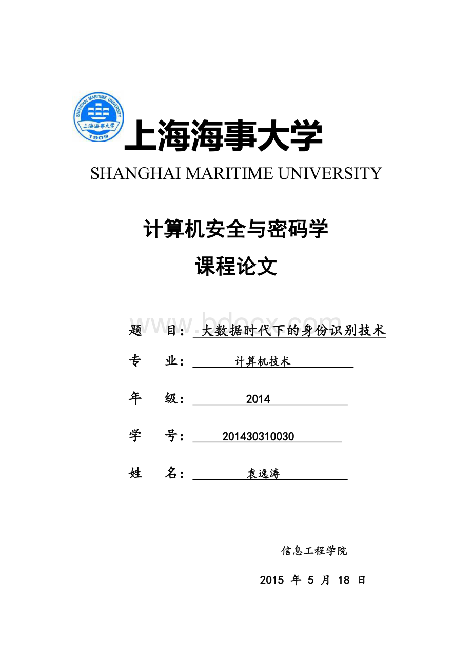 大数据时代下的身份识别技术.docx_第1页