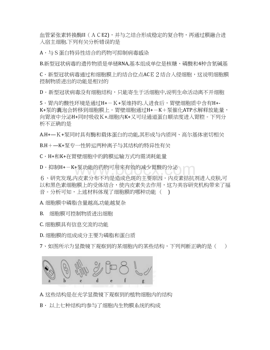 河南省信阳市商城县上石桥高中届高三上学期第一次月考试题生物 无答案Word文档格式.docx_第2页