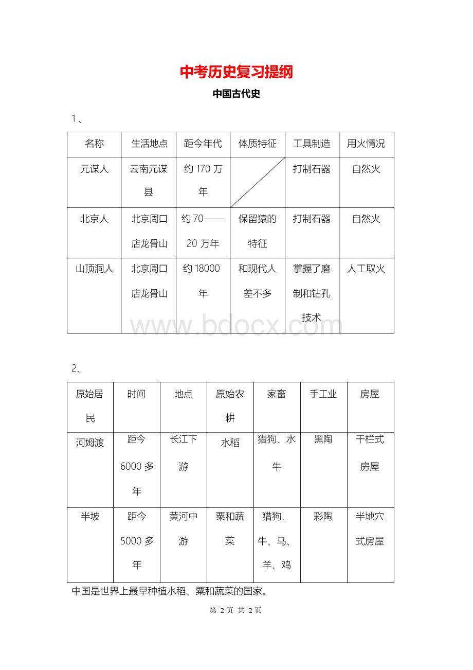 中考历史复习提纲(中考必备).docx_第2页