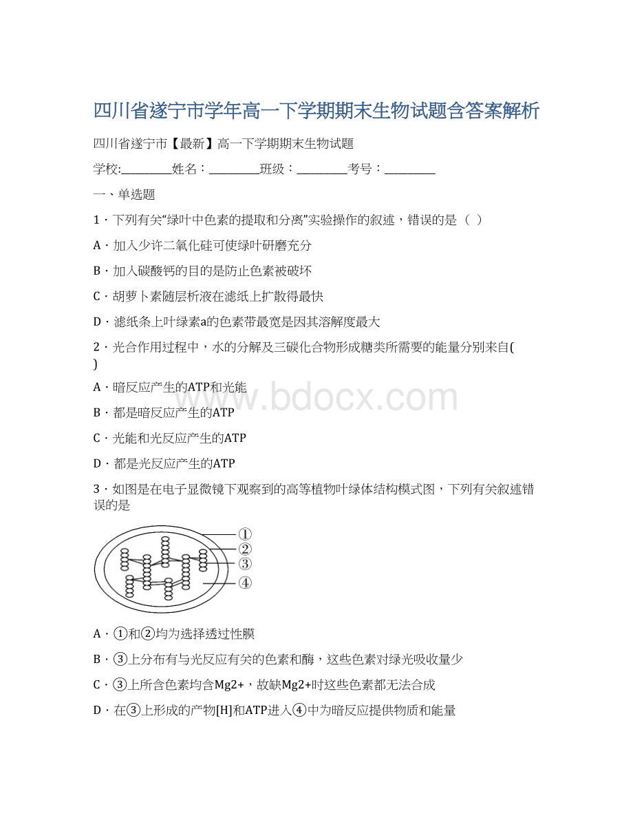 四川省遂宁市学年高一下学期期末生物试题含答案解析.docx