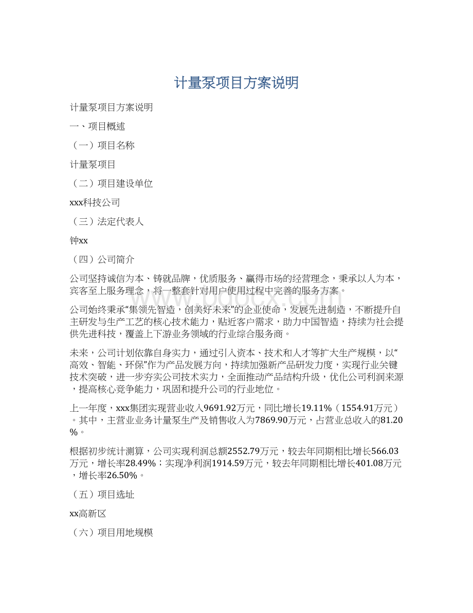 计量泵项目方案说明Word格式.docx_第1页