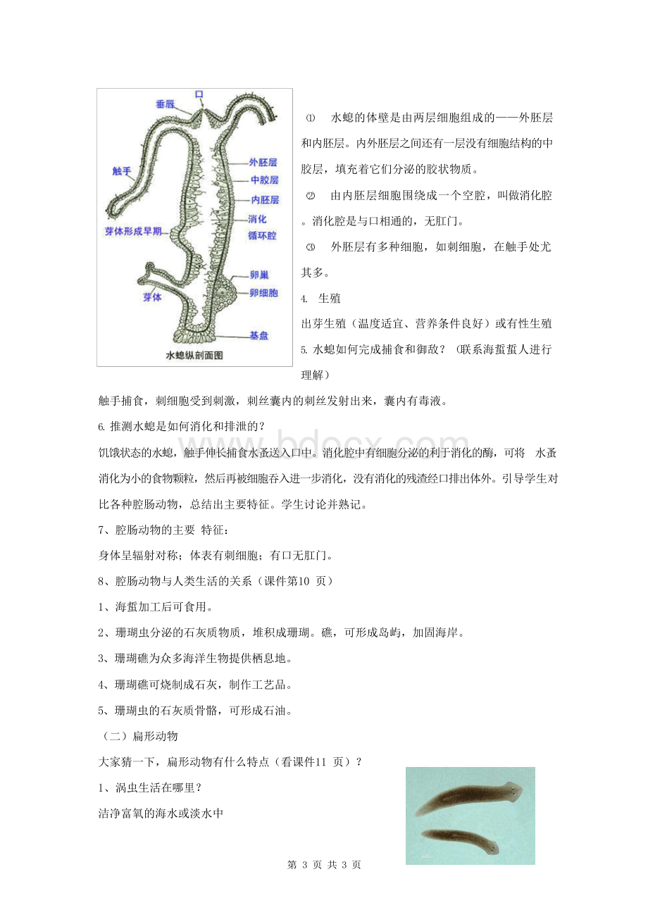 最新人教版八年级生物上册教案(全册).docx_第3页