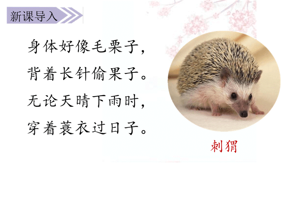 带刺的朋友PPT.pptx