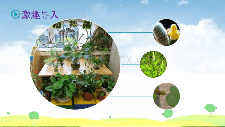 部编版人教版三年级语文下册习作 我的植物朋友 课件(10张ppt)PPT课件PPT资料.pptx_第2页