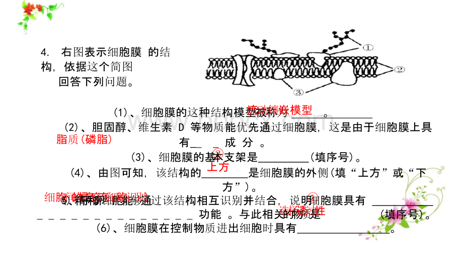 2019年高考生物一轮复习课件(最全版)151-300PPT推荐.pptx