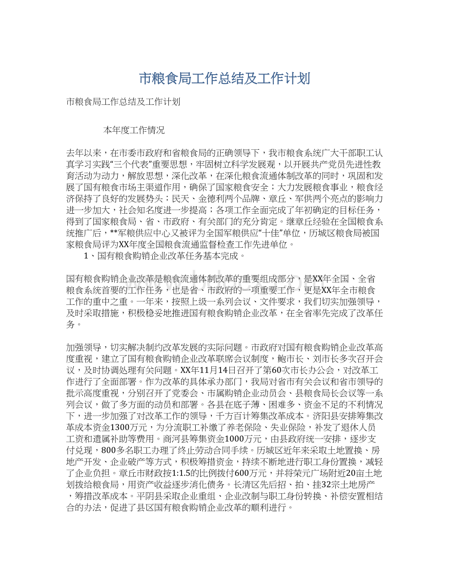 市粮食局工作总结及工作计划Word文档下载推荐.docx_第1页