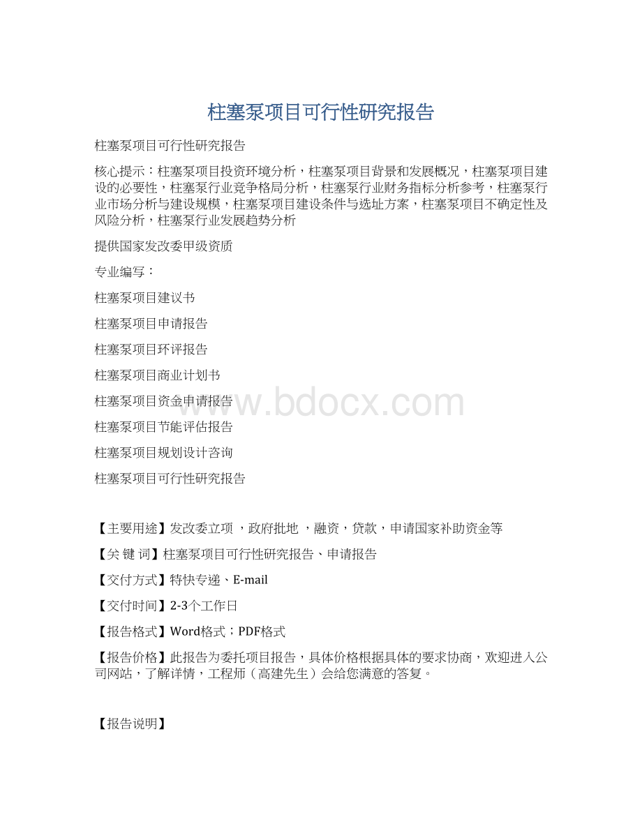 柱塞泵项目可行性研究报告Word格式.docx_第1页