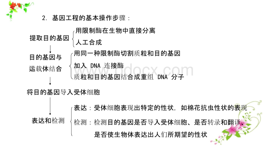 2019年高考生物一轮复习课件(最全版)1001-1496.pptx