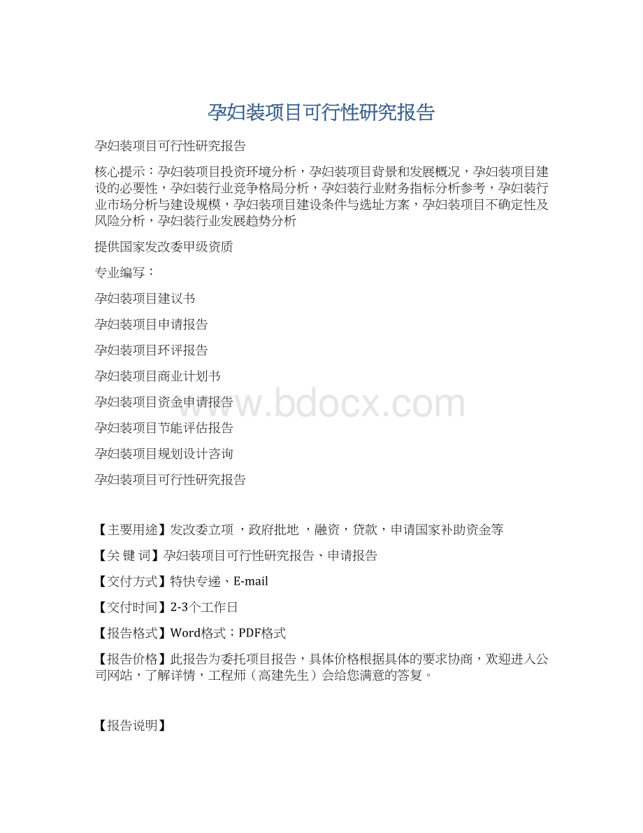 孕妇装项目可行性研究报告Word格式文档下载.docx