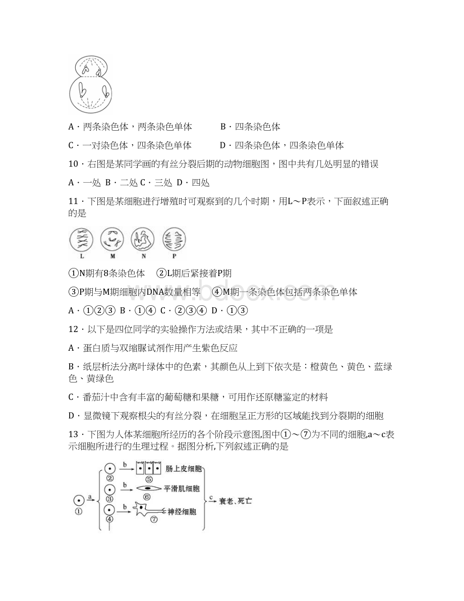 学附属中学1415学年下学期高一第一次月考生物试题附答案.docx_第3页