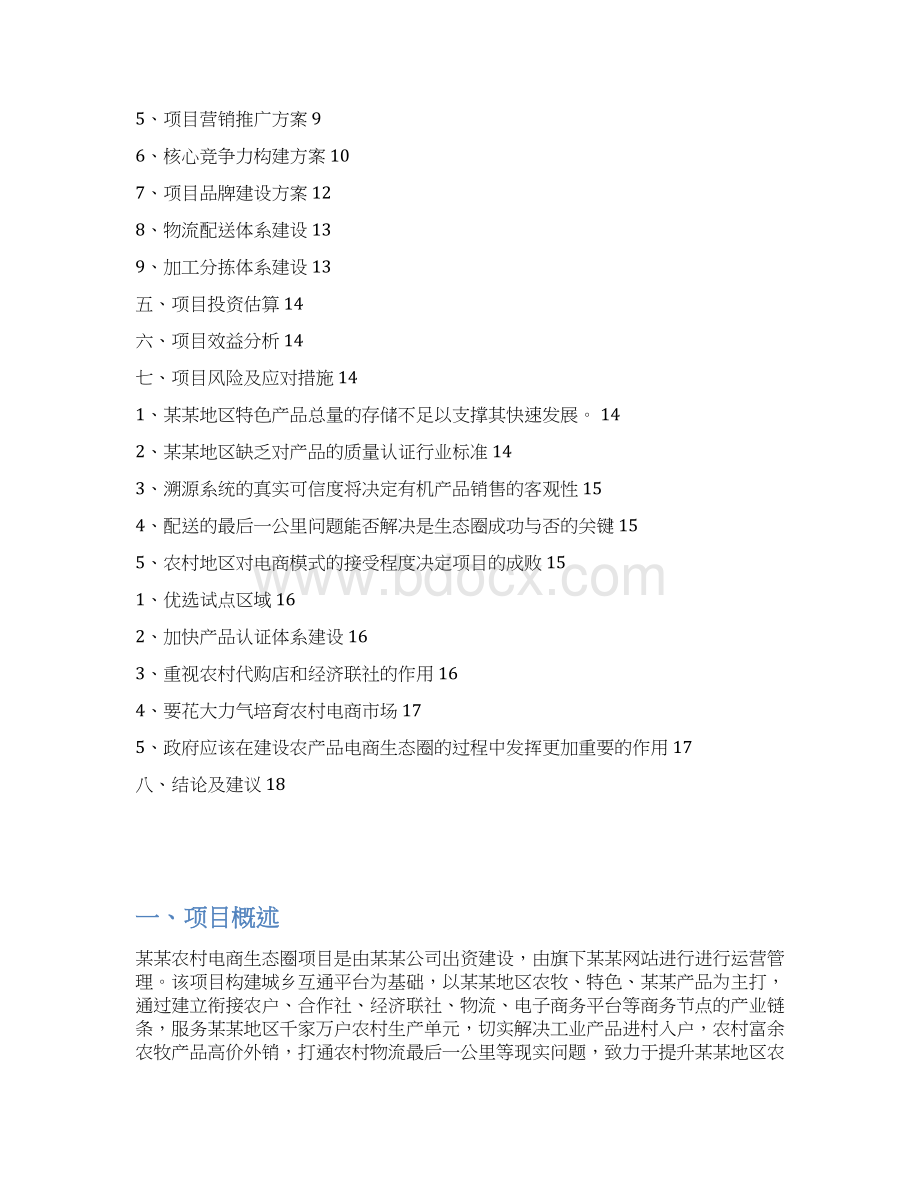 农村电商项目商业计划书Word文件下载.docx_第2页