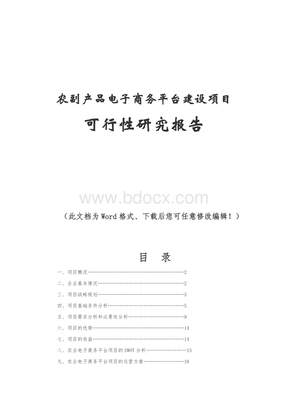 农副产品电子商务平台新建项目可行性研究报告文档格式.docx_第1页