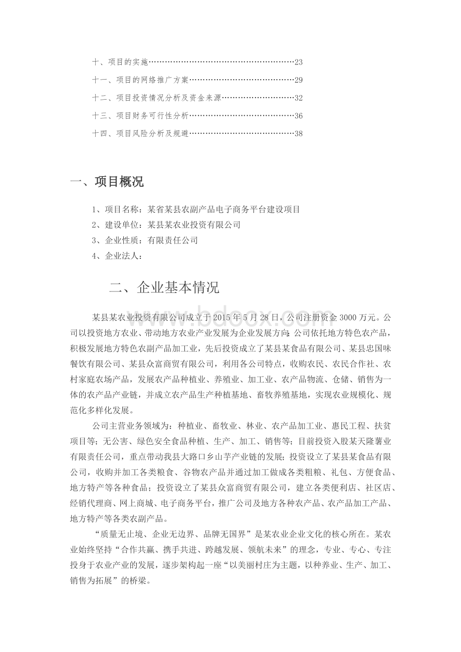 农副产品电子商务平台新建项目可行性研究报告.docx_第2页