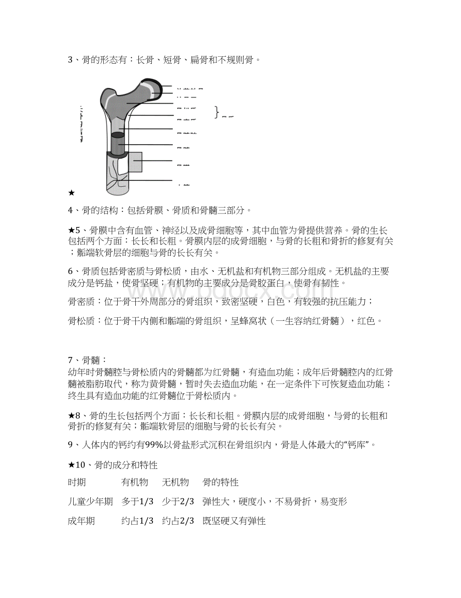 北师大版八年级上册生物学复习提纲Word文档下载推荐.docx_第2页