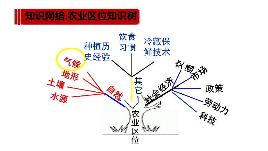 高三地理二轮复习农业微专题-气候对农业的影响(公开课)PPT文件格式下载.pptx_第2页