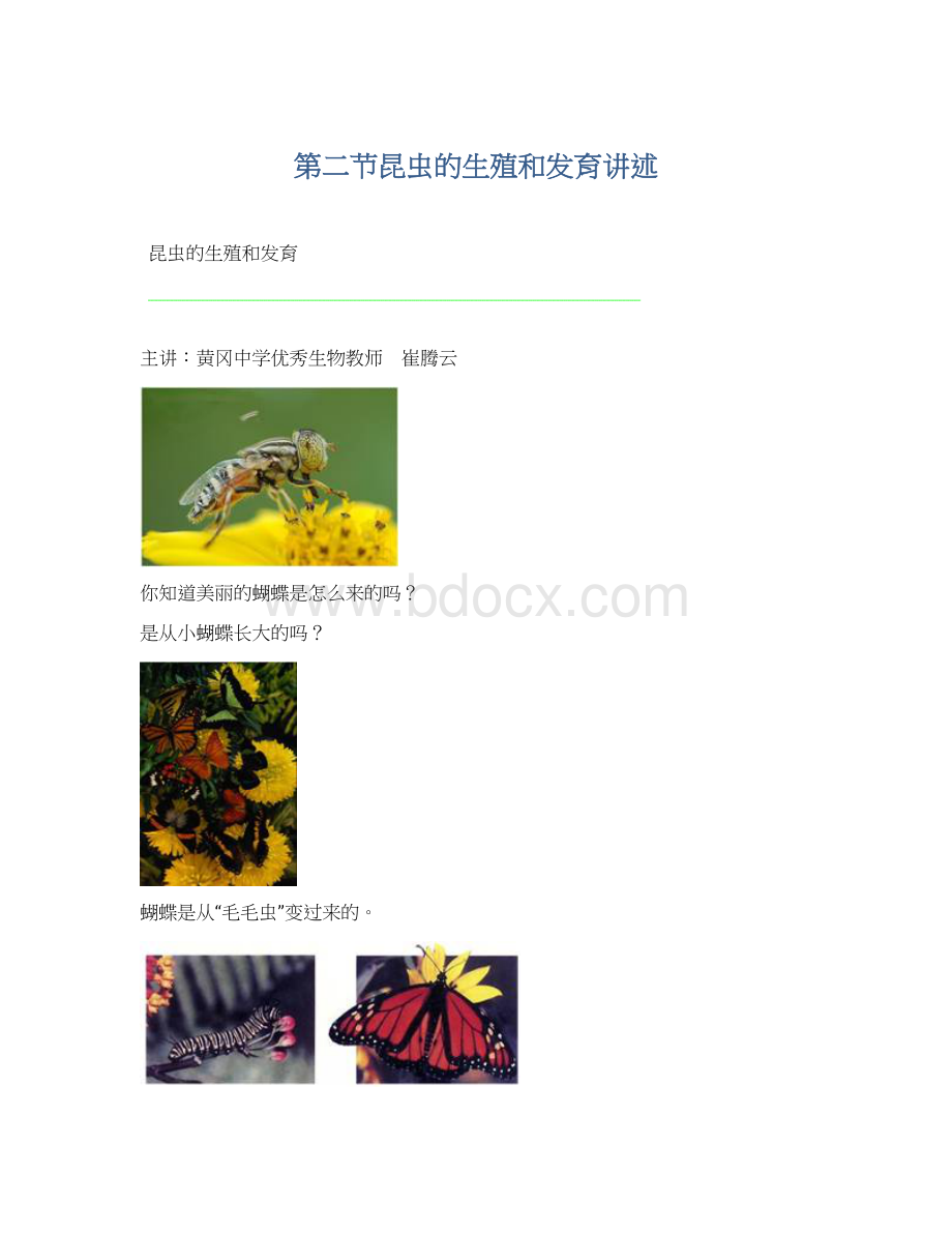 第二节昆虫的生殖和发育讲述Word文档格式.docx_第1页