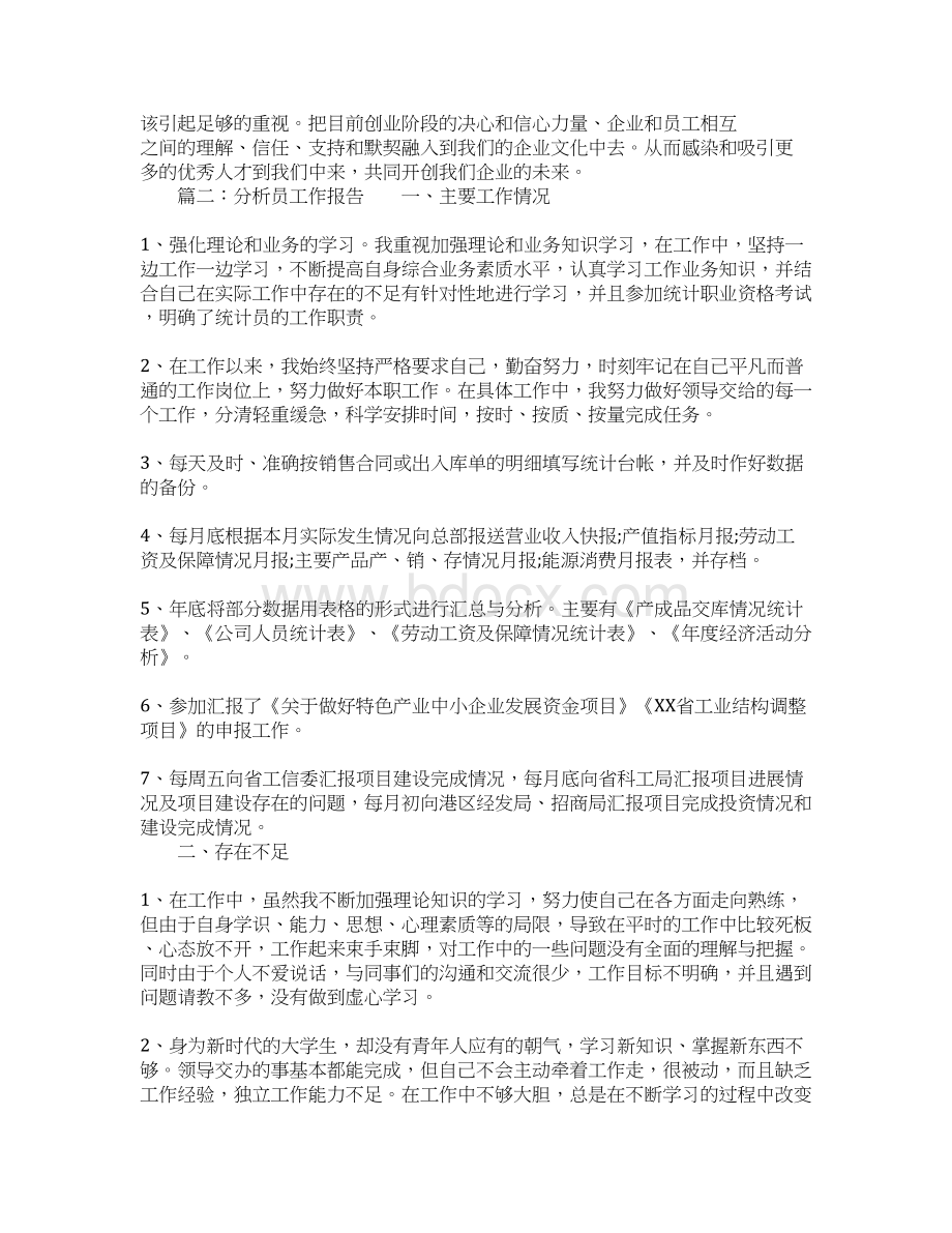 分析员工作报告Word文档格式.docx_第3页