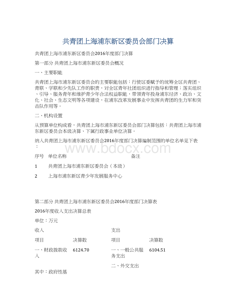 共青团上海浦东新区委员会部门决算.docx_第1页