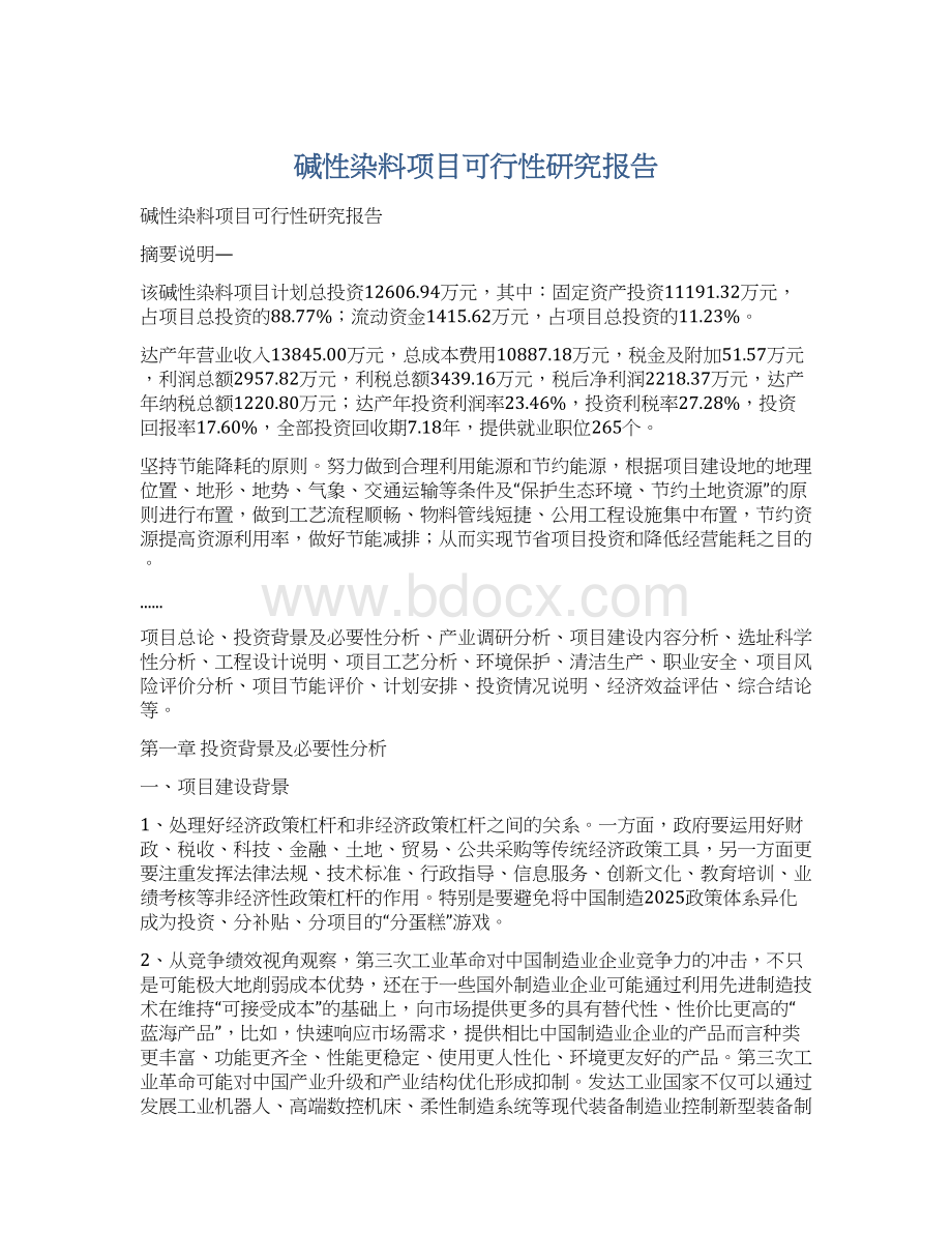 碱性染料项目可行性研究报告.docx_第1页