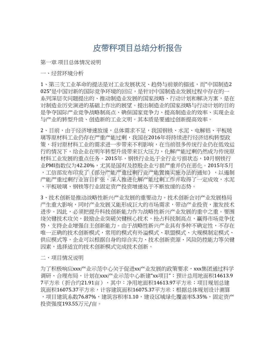 皮带秤项目总结分析报告.docx_第1页