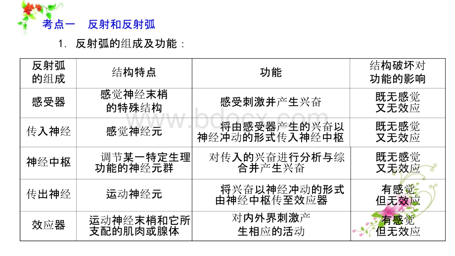 2019年高考生物一轮复习课件(最全版)1101-1496.pptx_第2页