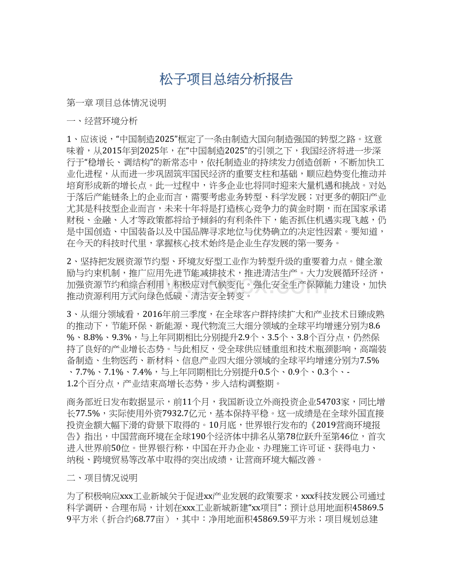 松子项目总结分析报告.docx