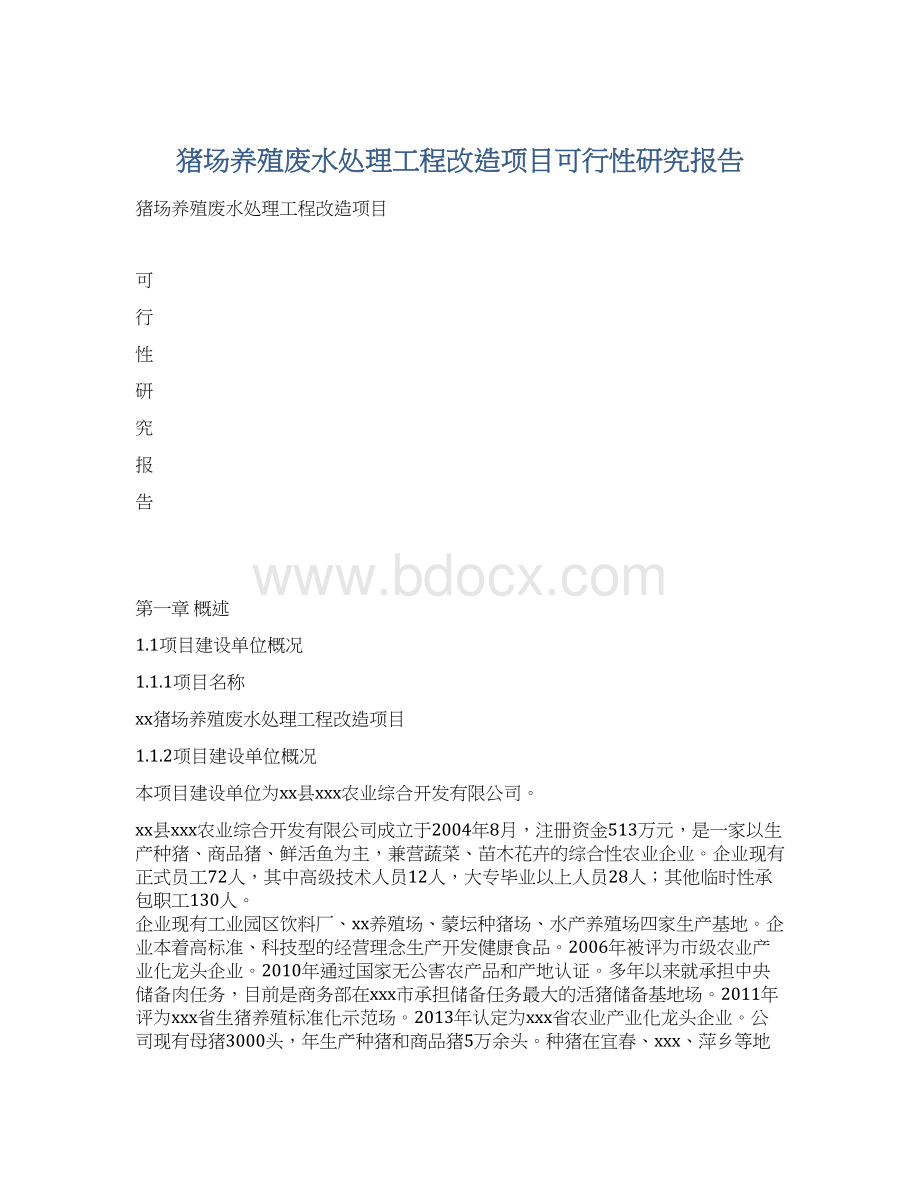 猪场养殖废水处理工程改造项目可行性研究报告Word格式.docx_第1页