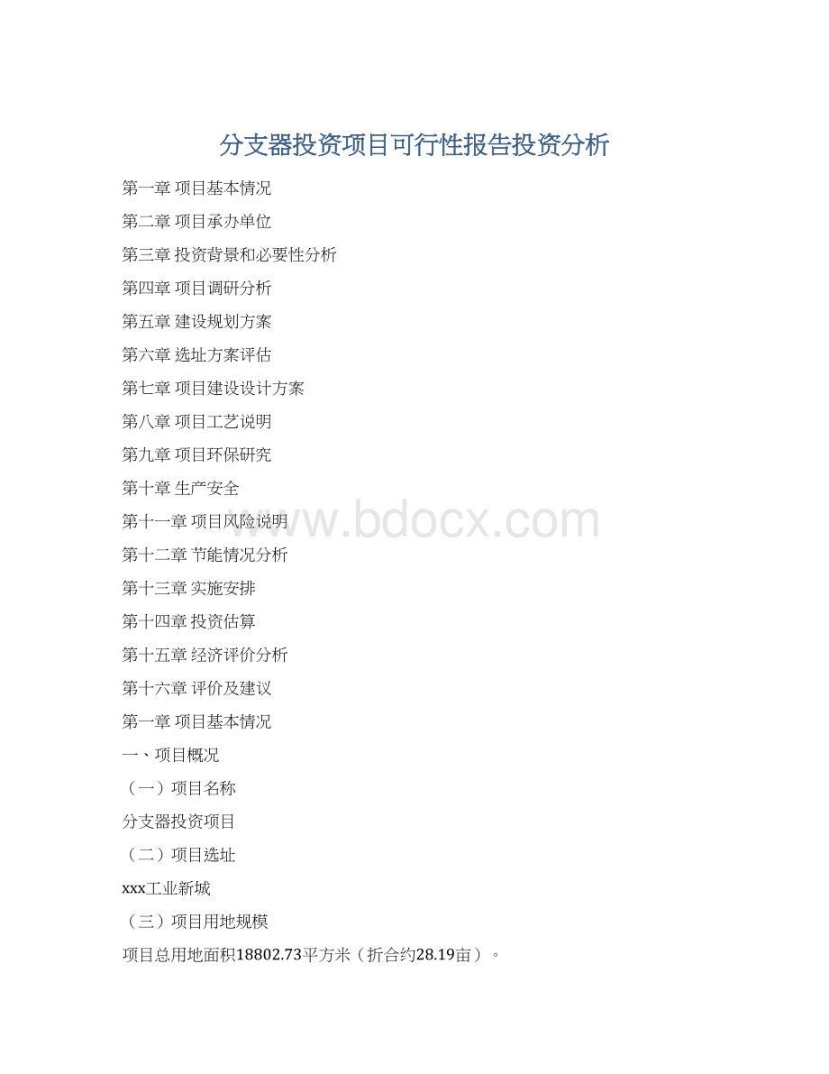 分支器投资项目可行性报告投资分析Word格式.docx_第1页