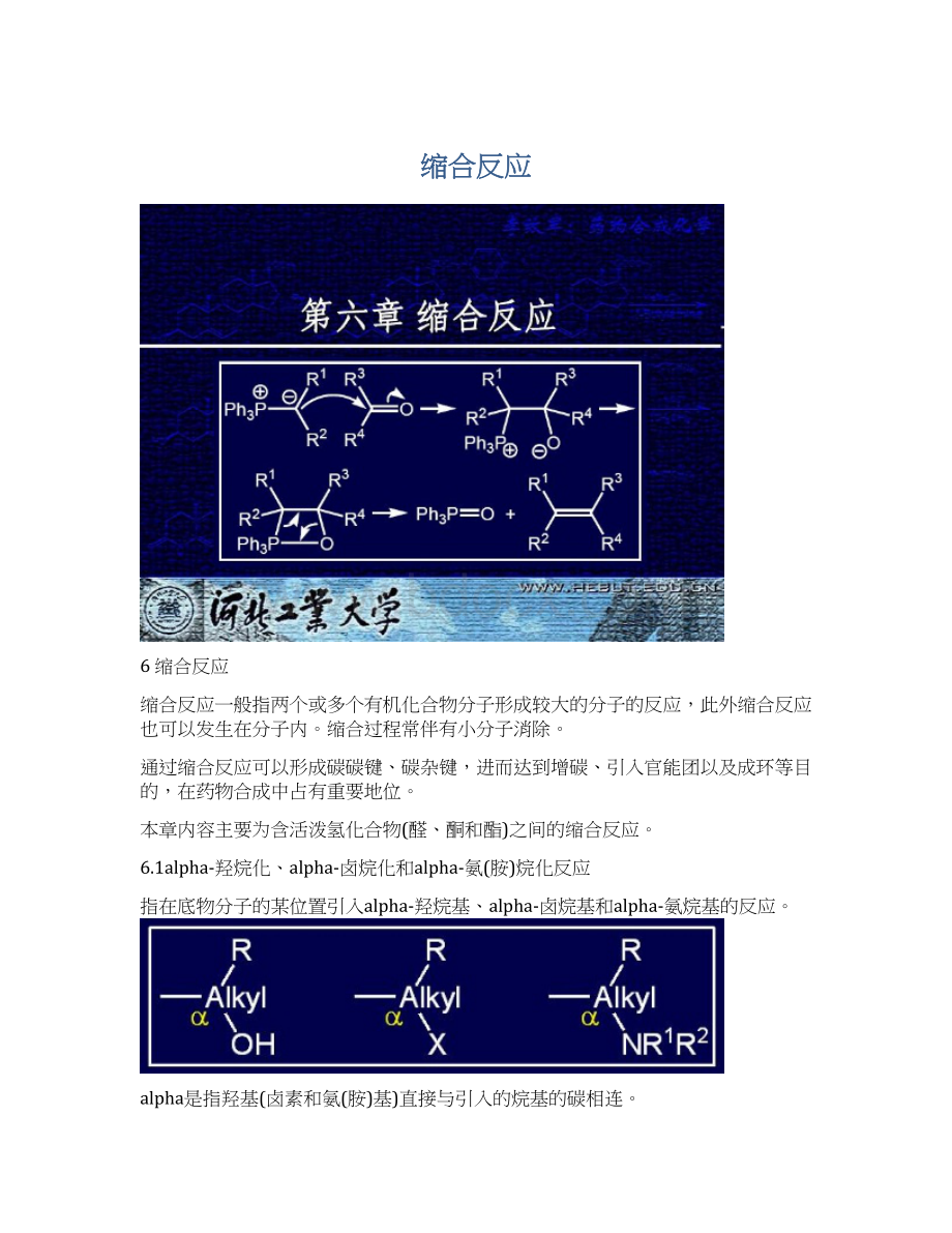 缩合反应Word格式.docx_第1页