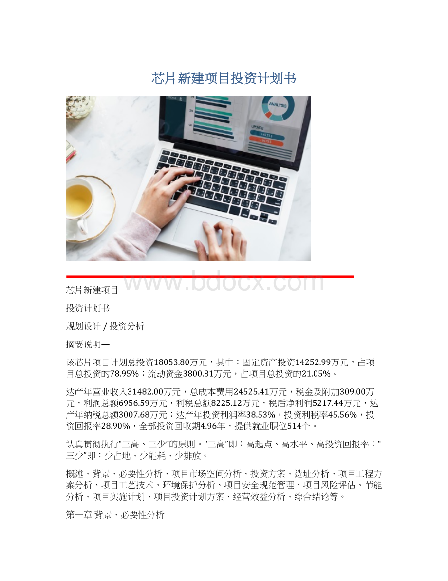 芯片新建项目投资计划书Word格式文档下载.docx
