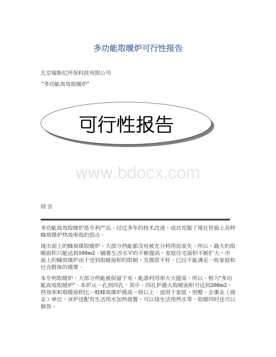 多功能取暖炉可行性报告.docx_第1页