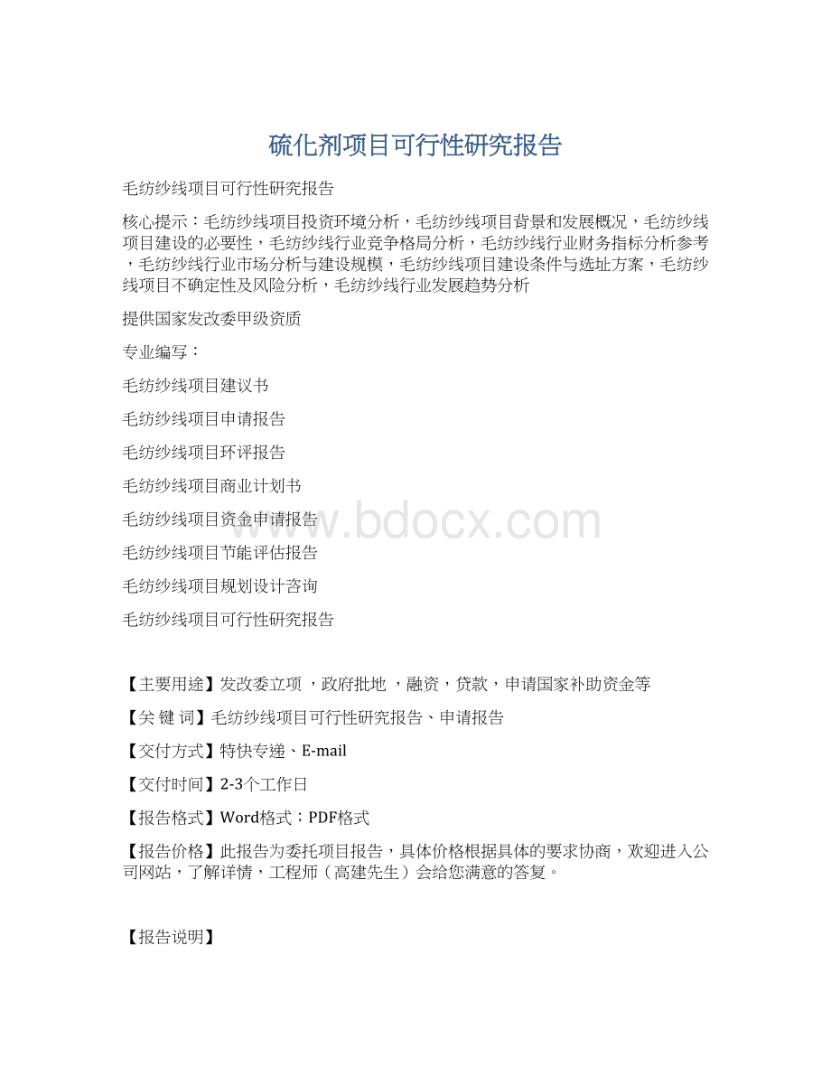 硫化剂项目可行性研究报告.docx_第1页