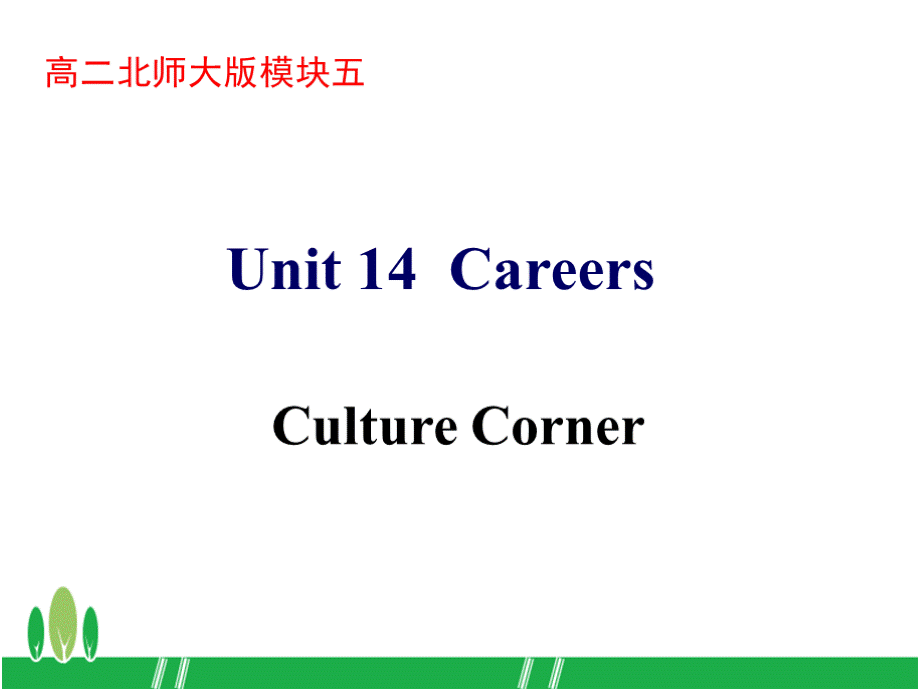 SD高二(上)必修五 Unit14Culture Corner.pptx_第2页